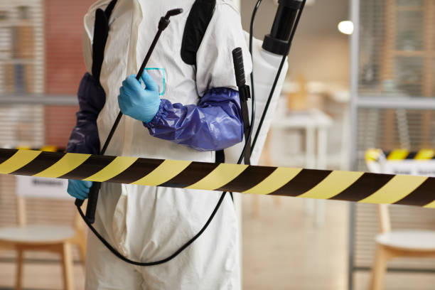 Professional Sewage Cleanup technician working in Sloan, IA